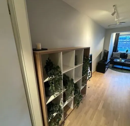 Amazing By Opera House